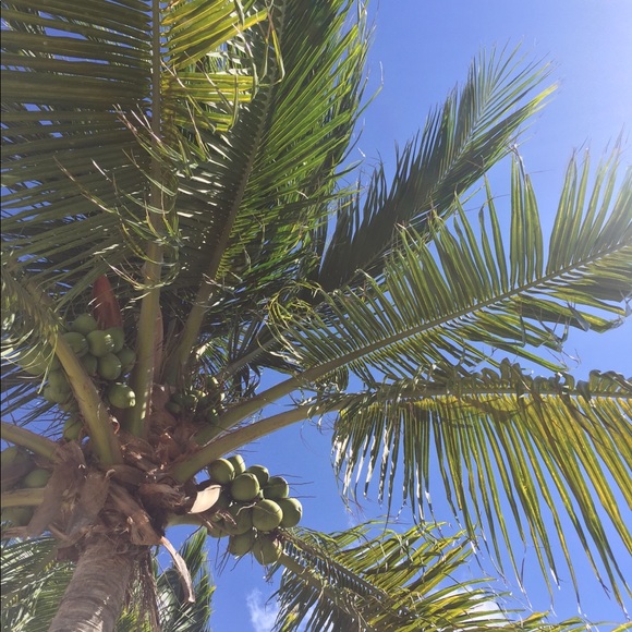 Meet your Posher, Lindsey - Picture 1 of 1